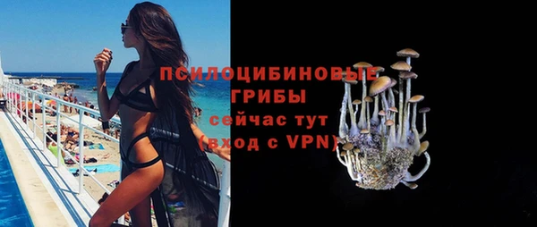 дживик Алзамай