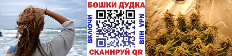 как найти закладки  Усть-Илимск  Конопля гибрид 